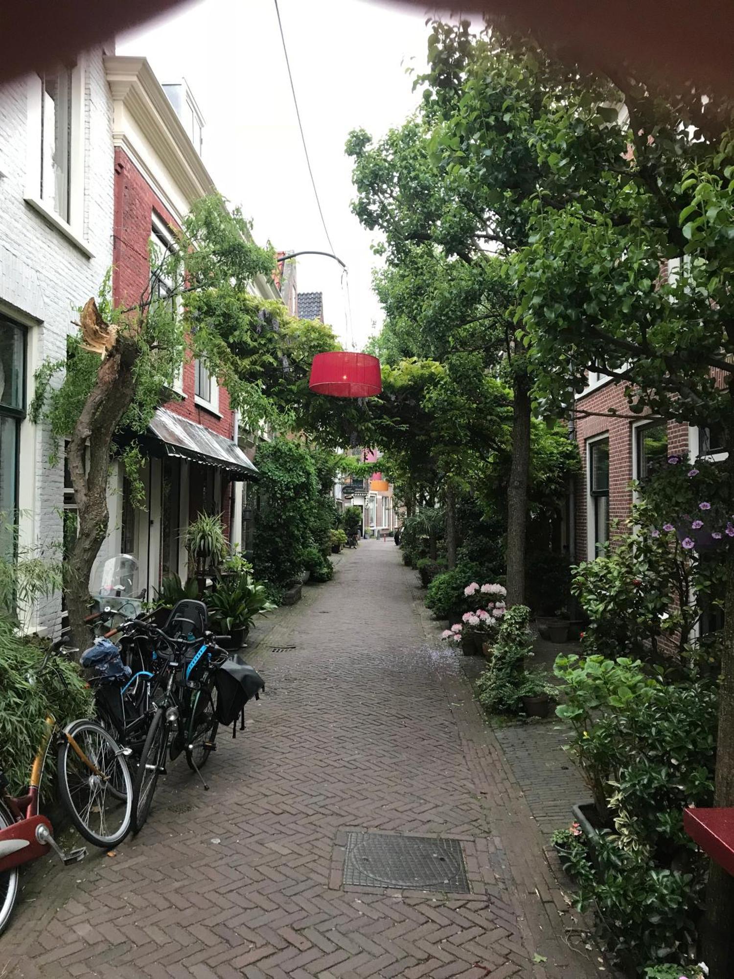 Gasthuis The Sin Haarlem